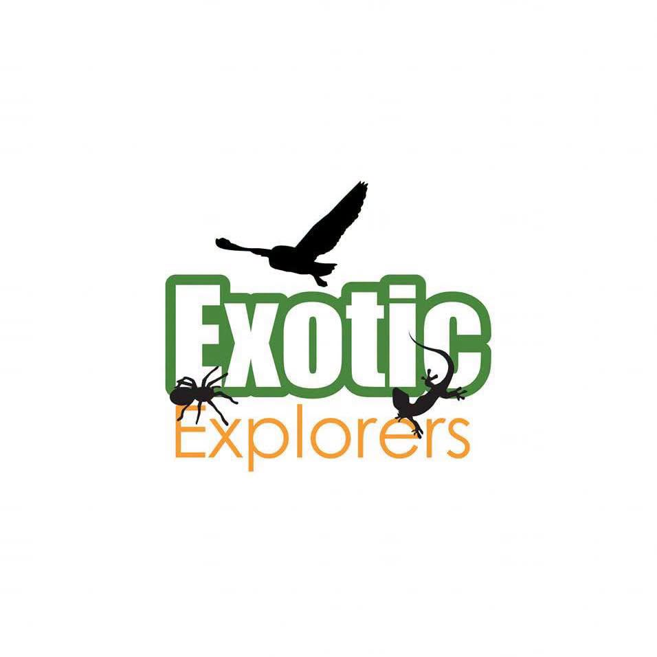 Exotic Animal Encounter